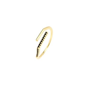Anillo Negro