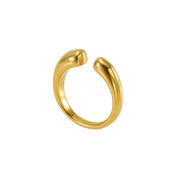 Anillo U