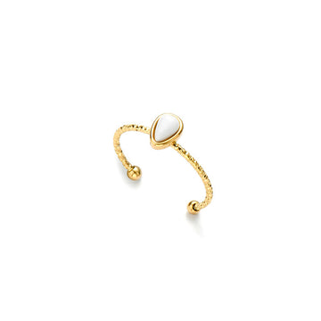 Anillo Di