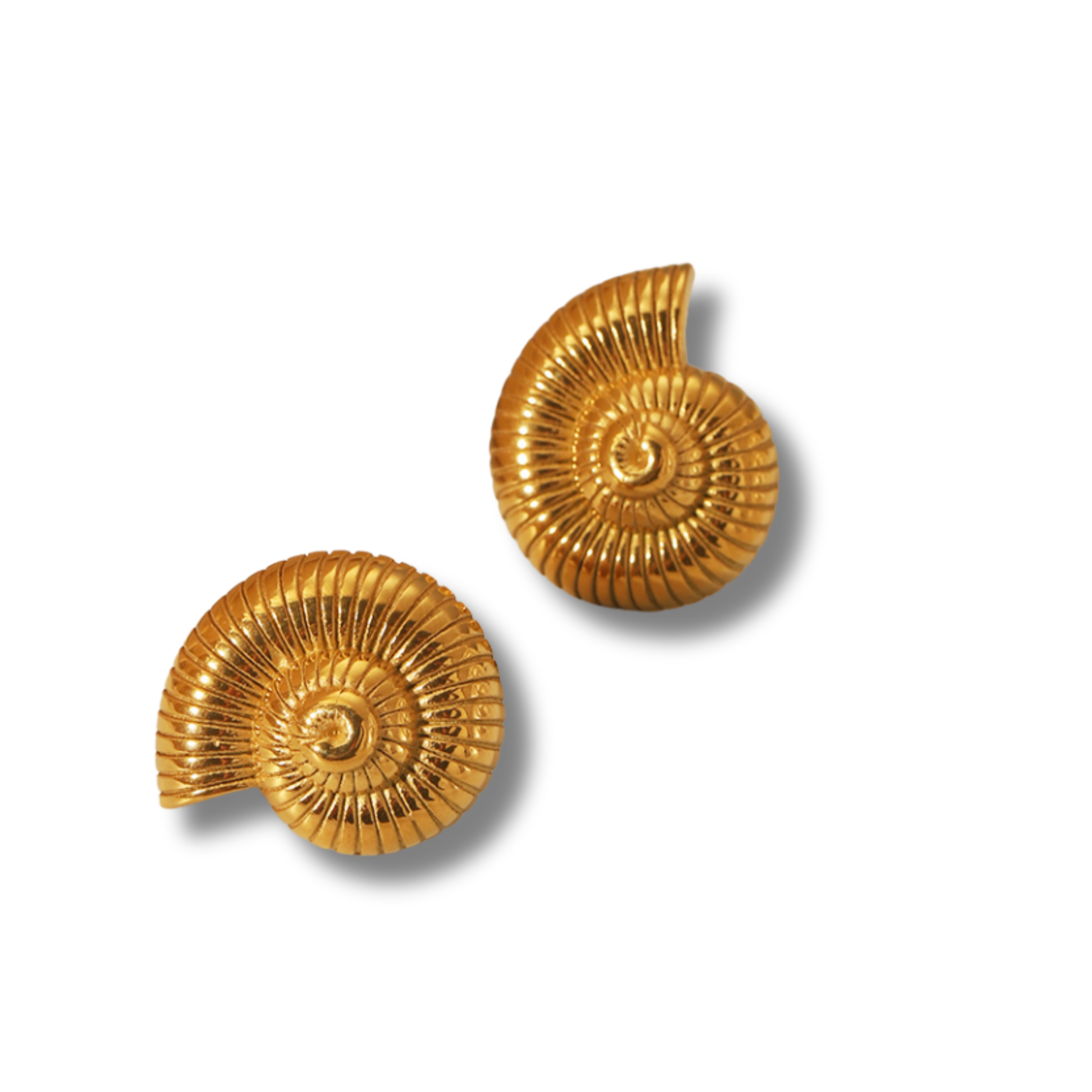Arete Caracol 🐚
